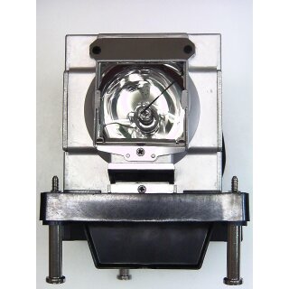 Replacement Lamp for VIVITEK D8010W