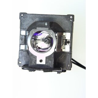 Replacement Lamp for BENQ SP920P (#1)