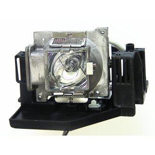 Replacement Lamp for PLANAR PR3010