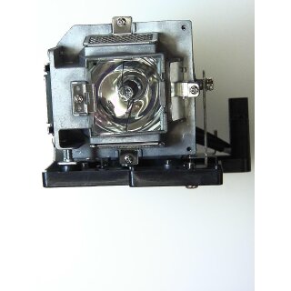 Replacement Lamp for LG DS420