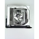 Replacement Lamp for OPTOMA HD20 (Q8NJ)