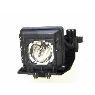 Replacement Lamp for TAXAN PS 100