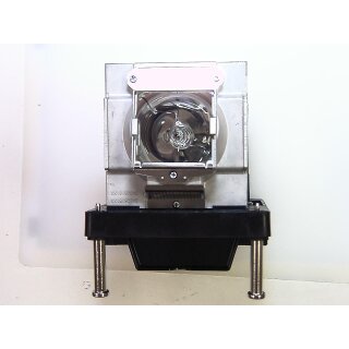 Replacement Lamp for BARCO RLM W14