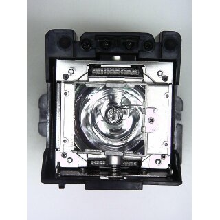 Replacement Lamp for BARCO RLM W8