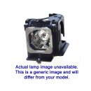 Replacement Lamp for TOSHIBA NPW15A