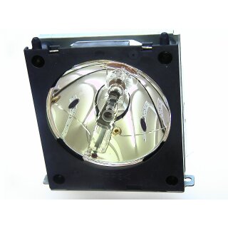 Replacement Lamp for LIESEGANG dv330