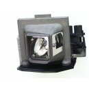 Replacement Lamp for OPTOMA EW1610