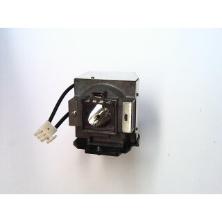 Projektorlampe ACER EC.K1300.001